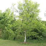Nadia's Tatil Evi Ilidža