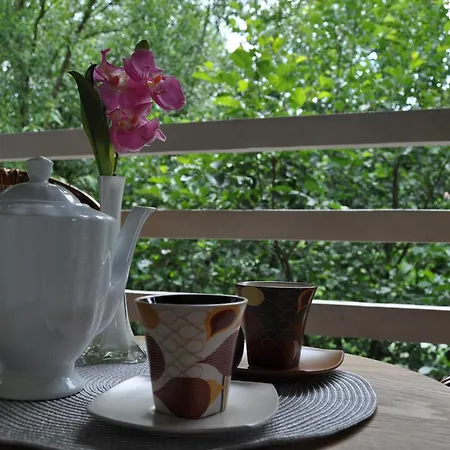 Nadia's * Илиджа